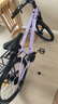 鳳凰（Phoenix） 上海鳳凰山地自行車(chē)成人男士女式學(xué)生變速寬胎越野賽車(chē)公路單車(chē) 鋼架輻條輪紫【省力全軸承】 24寸24速【參考:138-168cm】 曬單實(shí)拍圖