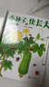 小種子快長大（蔬菜篇） 拉一拉，神奇的魔法讓小小種子長大了！這是一本兒童玩具書，適合0-3歲兒童閱讀和玩耍（啟發出品） 曬單實拍圖