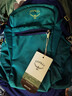OSPREY小鷹戶(hù)外背包 Daylite日光系列旅行戶(hù)外雙肩背包 徒步背包 OS均碼 Plus 20L 孔雀藍 曬單實(shí)拍圖