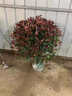 翩然紅葉石楠球樹(shù)苗庭院別墅地栽紅羅賓小苗籬笆墻綠化苗四季常青耐寒 紅葉石楠（70cm冠幅）高70厘米左右 四季不落葉 曬單實(shí)拍圖