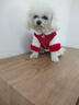 嬉皮狗（hipidog）小狗狗衣服絲絨醒獅兩腳棉衣泰迪比熊小型幼犬秋冬季厚款寵物服裝 德羅紅 S （建議體重3-5斤） 曬單實(shí)拍圖