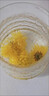 貢苑菊花茶30大朵安徽黃山金絲皇菊特級一杯一朵獨立包裝熬夜去火胎菊 曬單實(shí)拍圖
