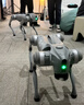 宇樹(shù)（Unitree）Go2 Air 機器狗 AI大模型 四足機器人 仿生陪伴機器人 具身智能  電子寵物 高端禮物 曬單實(shí)拍圖