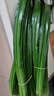 辰實(shí) 【發(fā)順豐】新鮮香蘭葉 斑斕葉現摘 班蘭葉可做斑斕蛋糕千層糕 3斤【新鮮斑斕葉 順豐快遞】 曬單實(shí)拍圖