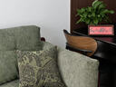 帕沙曼可拆洗云朵布藝沙發(fā)客廳小戶(hù)型中古風(fēng)實(shí)木沙發(fā)雪尼爾綠色MF100-Q 2.8米四人位#顏色可定制 抗菌雪尼爾TY74 曬單實(shí)拍圖