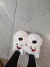 名創(chuàng  )優(yōu)品（MINISO）可愛(ài)潦草小狗棉拖鞋女秋冬室內居家宿舍情侶毛拖鞋男白色38-39 曬單實(shí)拍圖