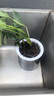 發(fā)財樹(shù)盆栽文竹室內花卉小盆景辦公室綠色植物客廳招財金錢(qián)樹(shù)盆栽 發(fā)財樹(shù)+高檔早安盆 曬單實(shí)拍圖
