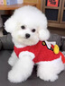 寵物狗狗衣服秋冬加絨保暖棉衣博美比熊雪納瑞小型犬紅色喜慶背心 狗狗新年衣服過(guò)年喜慶加絨保暖馬甲背心中小型犬冬裝 XS（胸圍30cm1-3斤) 曬單實(shí)拍圖