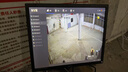 ?？低暎℉IKVISION）皓視通攝像頭套裝監控家用室外高清6路400萬(wàn)監控器商用戶(hù)外全彩夜視手機遠程帶4T硬盤(pán)IPC24V2-LA 曬單實(shí)拍圖