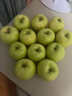 陜西白水瑞雪蘋(píng)果新鮮水果應當季脆甜青蘋(píng)果 60-70mm嘗鮮果16枚 曬單實(shí)拍圖