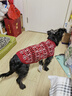 MOEPIE新年狗狗衣服秋冬裝毛衣泰迪比熊雪納瑞馬爾濟斯小型犬加厚保暖 紅色 2XL（推薦17-22斤狗狗） 曬單實(shí)拍圖