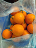 京地達四川愛(ài)媛38號果凍橙凈重8斤大果15-18粒柑橘桔子水果源頭直發(fā) 曬單實(shí)拍圖
