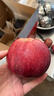 京蚨鮮甘肅天水花牛蘋(píng)果 當季新鮮平果國產(chǎn)紅蛇果粉面紅蘋(píng)果整箱 凈重8.5斤特大果【85-90mm】16-18個(gè) 曬單實(shí)拍圖