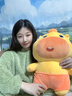 多愛(ài)（Duoai）  正版水豚嚕嚕公仔毛絨卡皮巴拉玩偶超大號送女友生日禮物 呆呆 45cm 送女孩女友道歉禮物送女生男生 曬單實(shí)拍圖