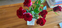 玫瑰10枝裝云南鮮花直發(fā)節日鮮花禮物花束家用水養插花1 高原紅玫瑰10枝 曬單實(shí)拍圖