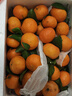 四叔公果蔬廣西金秋砂糖橘【多地次日達】沙糖橘子桔子新鮮年貨禮盒水果禮盒 【陽(yáng)光-黃金甜】12A老樹(shù)果王｜單果45mm+ 5斤爽吃裝【超值推薦-80%買(mǎi)】蕞劃算 曬單實(shí)拍圖
