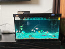 森森金麟超白玻璃魚(yú)缸客廳小型懶人魚(yú)缸LE-480B+增氧泵套餐 曬單實(shí)拍圖