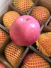 陜西渭北黃土高原紅富士蘋(píng)果馬欄紅旬邑蘋(píng)果禮盒款脆甜多汁包郵 12個(gè)裝禮盒款 90-95mm凈重約7.3-7.5斤 曬單實(shí)拍圖