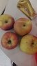 阿克蘇蘋(píng)果新疆阿克蘇冰糖心蘋(píng)果 當季應季新鮮時(shí)令水果丑蘋(píng)果紅富士禮盒裝 帶箱10斤 單果70-80mm(約28個(gè)左右)  凈重8.5斤 曬單實(shí)拍圖