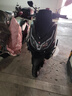破界猛禽X2高配版150踏板燃油摩托車(chē)2025款新款代步上班長(cháng)途可上牌 黑 曬單實(shí)拍圖