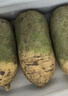 濰坊特產(chǎn)水果蘿卜新鮮正宗青綠蘿卜山東濰縣蘿卜水果型蔬菜生吃 水果青蘿卜9斤 曬單實(shí)拍圖