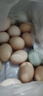 【50整箱】農家散養土雞蛋正宗烏雞蛋綠殼蛋混合裝新鮮整箱批發(fā) 【高山竹林散養走地雞】 40枚【烏雞蛋+土雞蛋】高品質(zhì) 曬單實(shí)拍圖