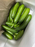 山東壽光水果黃瓜生吃脆新鮮荷蘭青瓜當季無(wú)刺小黃瓜源頭直發(fā) 精品水果黃瓜凈重 4.5斤 曬單實(shí)拍圖