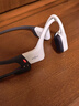 韶音（SHOKZ）OpenSwim Pro S710 骨傳導耳機藍牙無(wú)線(xiàn)運動(dòng)耳機 開(kāi)放式游泳跑步騎行不入耳 熊貓色 曬單實(shí)拍圖