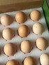 鉑鼎鼎散養富硒初生土雞蛋20枚 寶寶蛋 營(yíng)養 無(wú)抗健康 1.6斤  源頭直發(fā) 曬單實(shí)拍圖