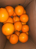 【25年鮮橙】湖北秭歸夏橙榨汁橙8甜2酸 帶箱8斤小果 曬單實(shí)拍圖