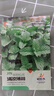 食用薄荷種子四季可播香檸檬薄荷多年生陽(yáng)臺盆栽驅蚊種子播種園藝 薄荷種子 1包【300?！?曬單實(shí)拍圖