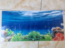 魚(yú)缸背景貼紙5d高清畫(huà)立體畫(huà)海底世界3d水族箱造景裝飾壁紙自粘紙 06.海底世界 寬60cm-高30cm【送刮板】 曬單實(shí)拍圖
