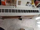特倫斯（Terence）電鋼琴88鍵折疊電子鋼琴兒童初學(xué)者考級成人家用鋼琴V50便攜鋼琴 時(shí)尚白 官方標配 曬單實(shí)拍圖
