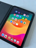 Apple 蘋(píng)果 iPad Mini 2/3/4/5/6/7代 2022/2021款 二手平板電腦自營(yíng) iPad mini6 曬單實(shí)拍圖