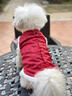 貓咪狗狗衣服秋冬季加絨保暖寵物狗小型紅色衣服喜慶泰迪新年絨衣 XS(胸圍30cm1-3斤) 曬單實(shí)拍圖