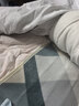 彩虹【高溫斷電】單人智能定時(shí)除螨拉毛絨電熱毯電褥子1.8*1.0米 曬單實(shí)拍圖
