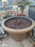 慕帆特大號樹(shù)脂花盆戶(hù)外大口徑大碼加厚種果樹(shù)盆栽庭院陽(yáng)臺荷花睡蓮盆 圓形60#(外徑60cm高37cm) 樹(shù)脂 底部有孔種植 曬單實(shí)拍圖