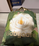 babycare babycare山茶花嬰兒隔尿墊M碼114片 曬單實(shí)拍圖