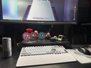 ROG夜魔98 HE 磁軸鍵盤(pán) 無(wú)線(xiàn)游戲鍵盤(pán)OLED彩屏無(wú)線(xiàn)8K回報率 RT0.01電競鍵盤(pán) 無(wú)畏契約打瓦 PBT版 白色 曬單實(shí)拍圖
