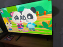 TCL雷鳥(niǎo)電視 50雀5 25款 50英寸 144Hz高刷 2+32GB內存 自定義遙控器 家電國家補貼電視50F295C 曬單實(shí)拍圖