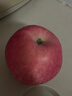 靜寧蘋(píng)果 【順豐到家】甘肅紅富士蘋(píng)果水果 新鮮應季靜寧蘋(píng)果 凈重6斤大果80-90mm 曬單實(shí)拍圖