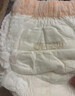 碧芭寶貝大魚(yú)海棠拉拉褲XL30片(12-17kg)尿不濕 干爽透氣大吸量 秋冬不悶 曬單實(shí)拍圖