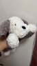 Jellycat唐布利牧羊犬動(dòng)物毛絨玩偶安撫玩具狗公仔娃娃新年生日禮物 唐布利牧羊犬 Medium 曬單實(shí)拍圖