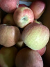 京地達新疆阿克蘇冰糖心蘋(píng)果凈重9斤單果160g+生鮮水果源頭直發(fā)包郵 曬單實(shí)拍圖