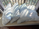 京好貨德國品質(zhì)希爾頓五星級羽絲絨枕頭護頸枕頸椎病深度睡眠專(zhuān)用一對枕 德國高端A類(lèi) 【經(jīng)典白48*74cm】低枕一對 曬單實(shí)拍圖