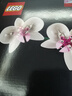 樂(lè )高（LEGO）積木拼裝10311 蘭花永生花男孩女孩女生玩具生日新年禮物年貨裝飾 曬單實(shí)拍圖