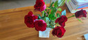 玫瑰10枝裝云南鮮花直發(fā)節日鮮花禮物花束家用水養插花1 高原紅玫瑰10枝 曬單實(shí)拍圖