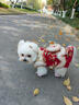 嬉皮狗（hipidog）秋冬新年款小狗狗衣服花團錦簇喜慶中式盤(pán)扣唐裝小型幼犬寵物裙子 德羅紅 M （建議體重5-8斤） 曬單實(shí)拍圖