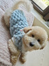 歡寵網(wǎng)寵物狗狗衣服貓咪貓小狗小貓泰迪比熊貓貓小型犬幼犬冬季保暖服飾 曬單實(shí)拍圖