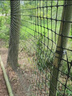 界圖鐵絲網(wǎng)圍欄防護網(wǎng)養殖網(wǎng)荷蘭網(wǎng)牛欄網(wǎng)隔離網(wǎng)養雞鴨鵝鐵網(wǎng)包塑柵欄 1.2米高+6厘米孔(30米/卷) 2.3mm粗【簡(jiǎn)單防護】 曬單實(shí)拍圖
